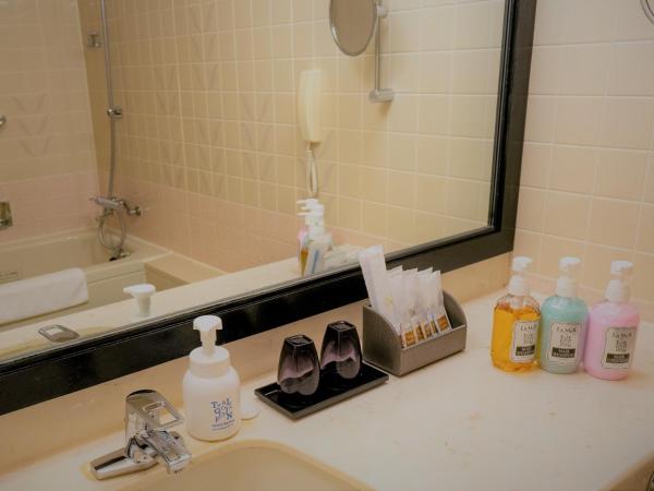 Hotel Nikko Osaka : photo 3 de la chambre chambre double standard - non-fumeurs