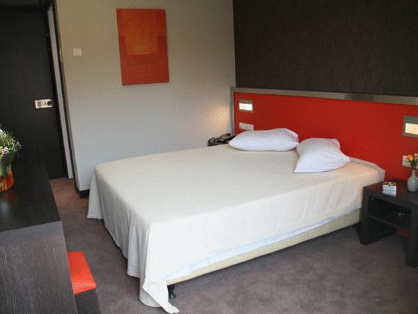 Hotel Des Roses : photo 1 de la chambre chambre double ou lits jumeaux