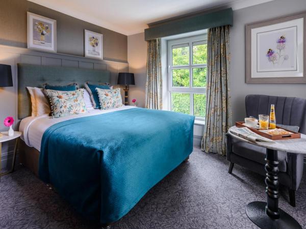 Killarney Dromhall Hotel : photo 2 de la chambre chambre double