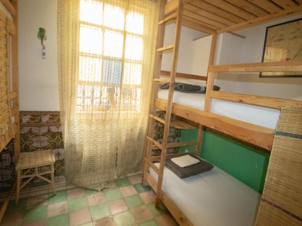 Bayt Alice Hostel : photo 5 de la chambre lit dans dortoir mixte de 7 lits 