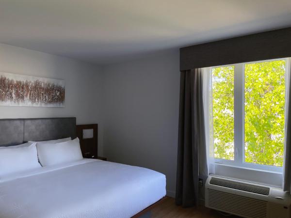Quality Inn : photo 2 de la chambre chambre lit king-size de luxe non-fumeurs - animaux domestiques non admis.