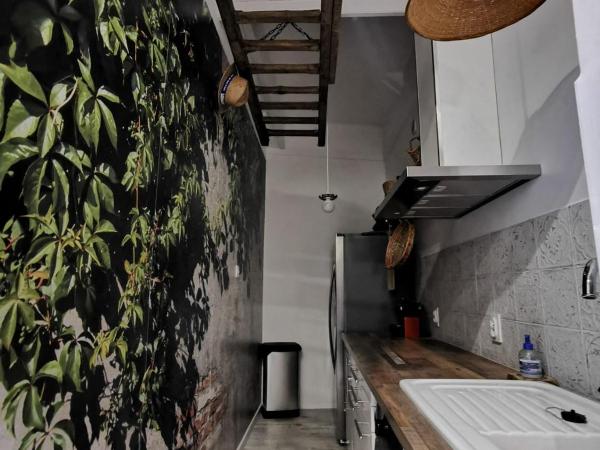 Jardin Vieux Port Panier : photo 7 de la chambre appartement avec terrasse