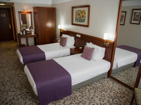 Dila Hotel : photo 2 de la chambre chambre standard