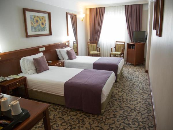 Dila Hotel : photo 3 de la chambre chambre standard
