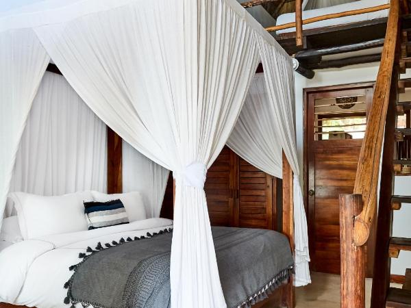 Casa Violeta : photo 7 de la chambre bungalow - vue sur mer