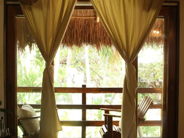 Casa Violeta : photo 3 de la chambre bungalow - vue sur jardin