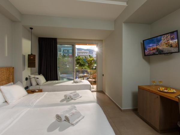 Palmera Beach Hotel & Spa - Adults Only : photo 7 de la chambre chambre standard