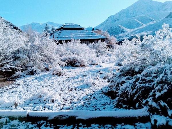 cabaña 17 Potrerillos : photo 1 de la chambre appartement 2 chambres