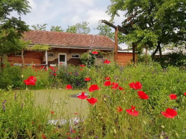 Lazy Days : photo 3 de la chambre chambre familiale - vue sur jardin