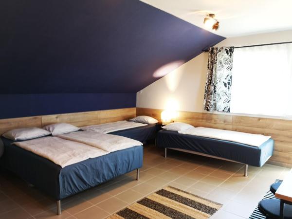 Gyöngyszem Vendégház : photo 5 de la chambre studio (4 adultes)