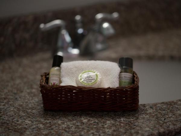 Comfort Inn : photo 4 de la chambre chambre 2 lits queen-size avec douche accessible en fauteuil roulant - adaptée aux personnes à mobilité réduite - non-fumeurs