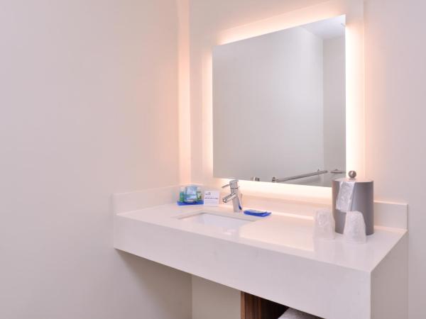 Holiday Inn Express New Orleans - St Charles, an IHG Hotel : photo 4 de la chambre chambre lit king-size standard