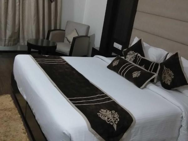 HOTEL PITRASHISH PRIDE IGI Intl AIRPORT DELHI : photo 7 de la chambre chambre double supérieure
