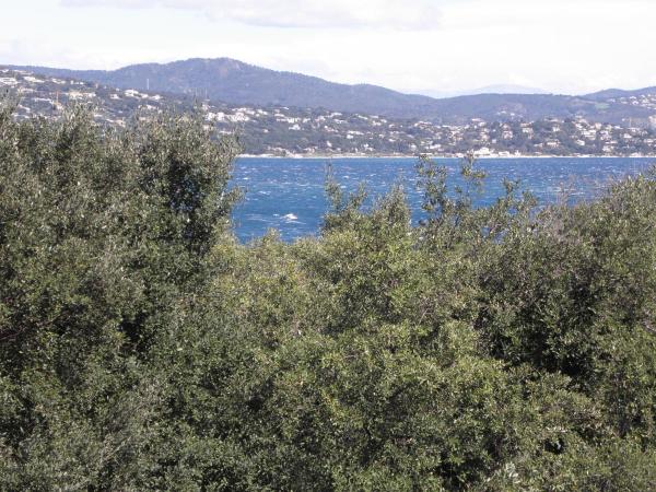 Villa Ingrid : photo 5 de la chambre chambre double avec balcon - vue sur mer