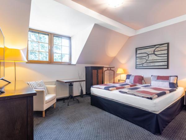 Penzion Bavaria : photo 3 de la chambre chambre double