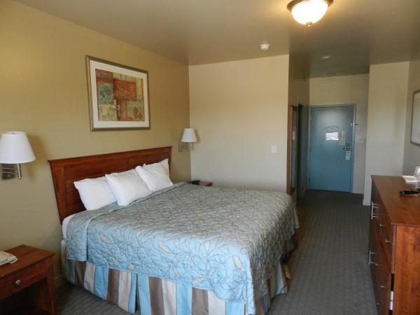 Days Inn by Wyndham Downtown St. Louis : photo 2 de la chambre chambre lit queen-size - non-fumeurs