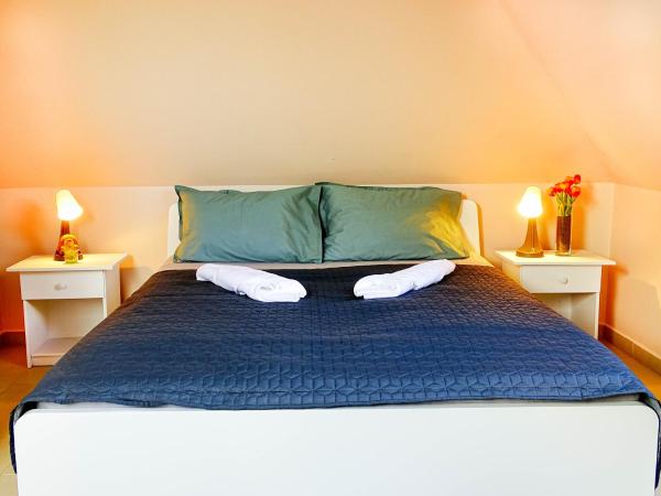 Nótafa Vendégház Eger : photo 1 de la chambre chambre double avec salle de bains privative