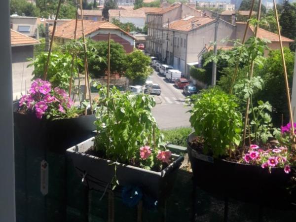 Chambre d'hôte Zen Chez Philippe Parking gratuit : photo 4 de la chambre chambre double avec balcon