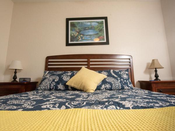 Magical Adventure Condo w Waterpark near Disney No Resort Fees : photo 2 de la chambre appartement