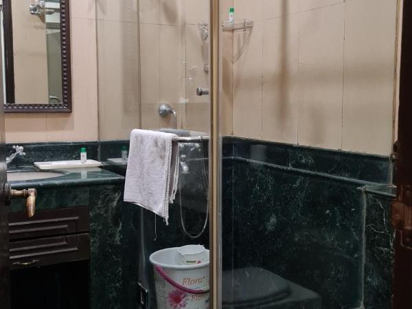 Hotel Diplomat Residency : photo 2 de la chambre chambre double deluxe