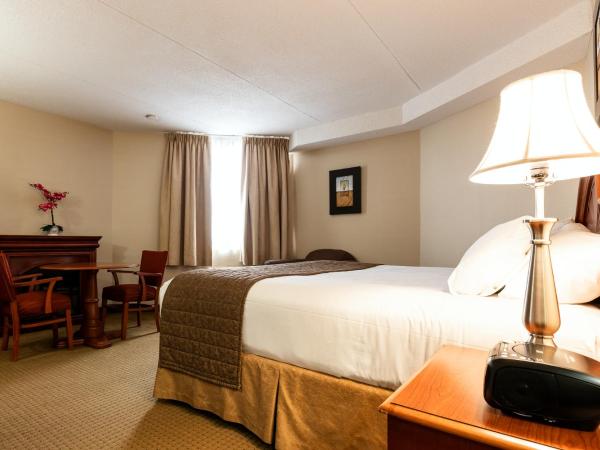 WelcomINNS Ottawa : photo 6 de la chambre chambre lit king-size