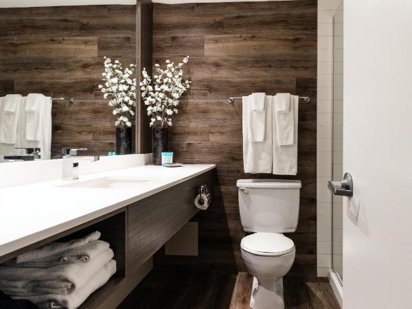 WelcomINNS Ottawa : photo 6 de la chambre chambre quadruple standard