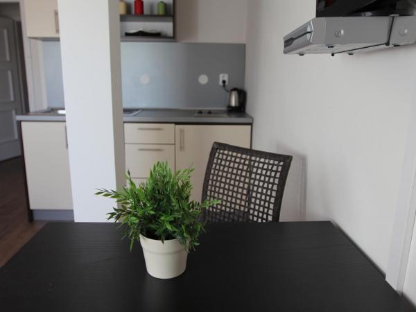 Residence Vysta : photo 9 de la chambre studio
