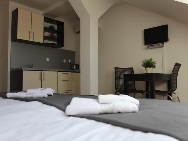 Residence Vysta : photo 1 de la chambre studio