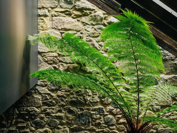 Moss Hotel : photo 3 de la chambre chambre standard lit king-size