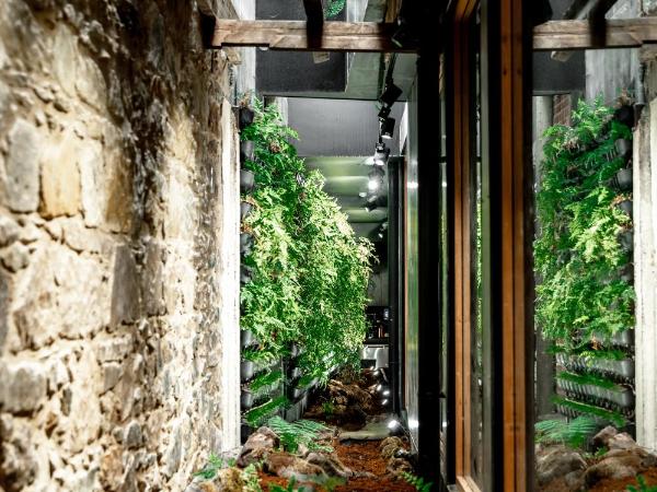 Moss Hotel : photo 8 de la chambre chambre standard lit king-size