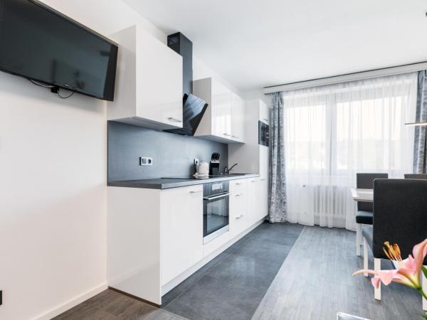 A.V.E. Pension Kliská : photo 2 de la chambre suite