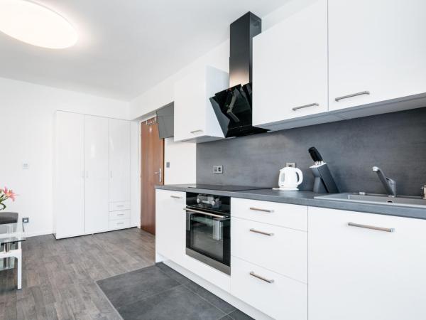 A.V.E. Pension Kliská : photo 4 de la chambre suite