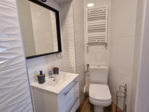 Apartamenty Katowice Stawowa 5 : photo 8 de la chambre studio deluxe