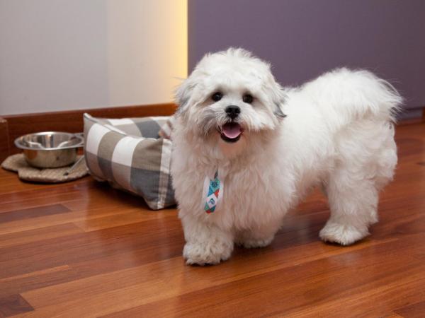 NH Curitiba The Five : photo 3 de la chambre chambre triple standard