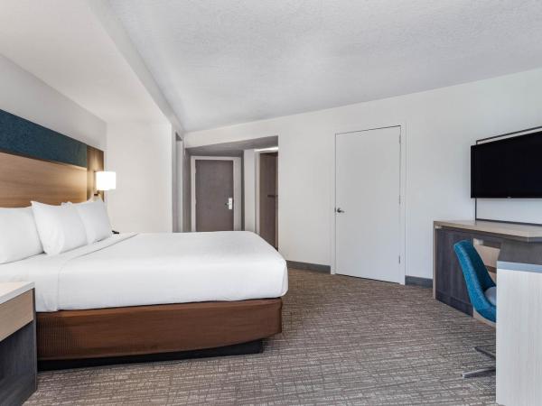 Wyndham Orlando Resort & Conference Center, Celebration Area : photo 1 de la chambre chambre lit king-size