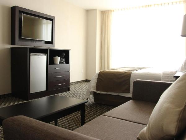 Holiday Inn Mexico Santa Fe, an IHG Hotel : photo 4 de la chambre chambre lit king-size standard