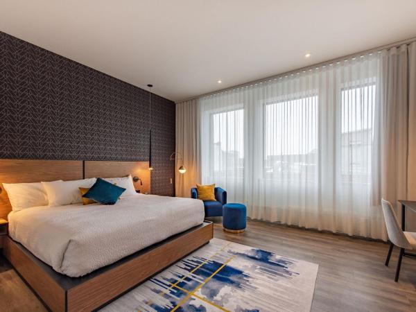 Hotel Royal William, Ascend Hotel Collection : photo 1 de la chambre chambre lit king-size - non-fumeurs