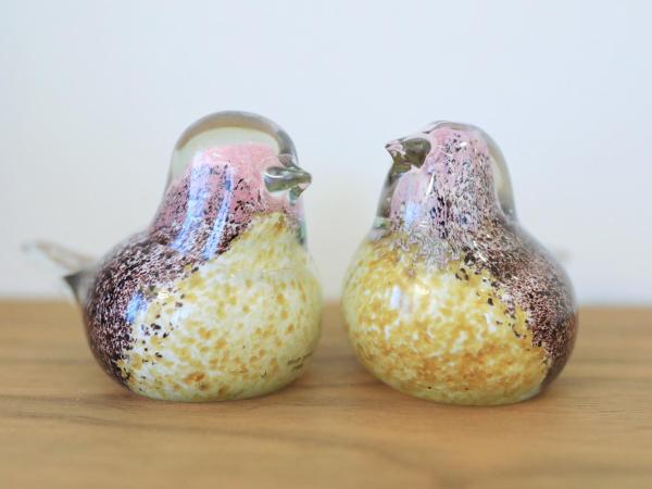 Villa Manda Zadar Luxury Apartments : photo 2 de la chambre appartement 1 chambre