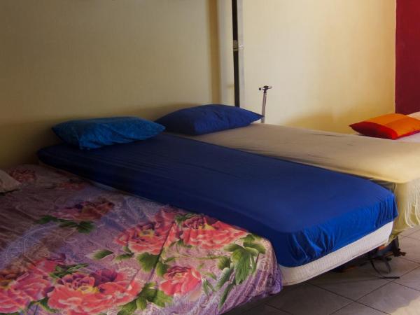 Antonio's Guest House : photo 2 de la chambre appartement - vue sur jardin