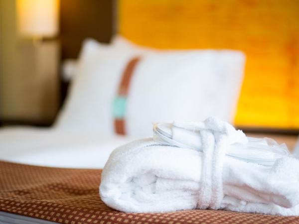 Holiday Inn - Salzburg City, an IHG Hotel : photo 1 de la chambre chambre lits jumeaux premium