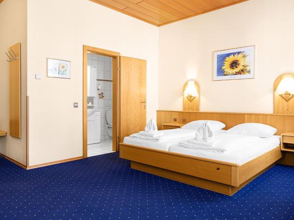 Hotel-Pension Wild : photo 3 de la chambre chambre double ou lits jumeaux avec salle de bains privative