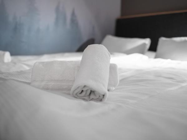 Mornington Hotel Bromma : photo 2 de la chambre chambre double sans fenêtre