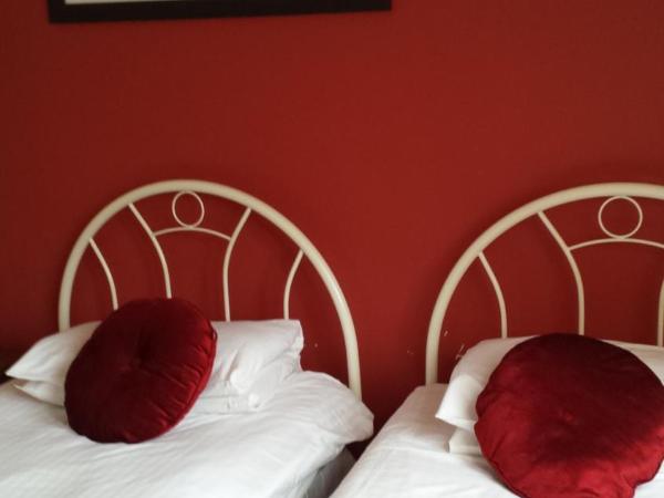 Rosemount Palace : photo 8 de la chambre chambre lits jumeaux