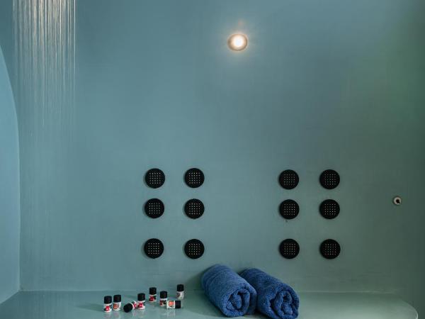Argo Boutique Hotel : photo 5 de la chambre suite atalanta en demi sous-sol avec hammam et petite piscine intérieure chauffée