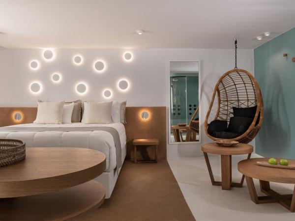 Argo Boutique Hotel : photo 1 de la chambre suite atalanta en demi sous-sol avec hammam et petite piscine intérieure chauffée