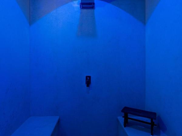 Allegory Boutique Hotel : photo 9 de la chambre suite vip avec baignoire et hammam - narcisse