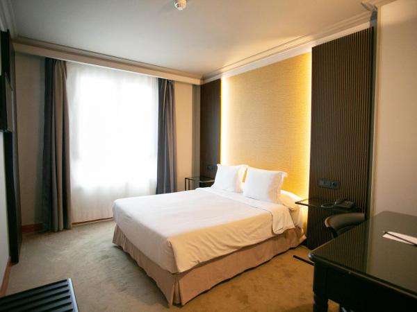Hotel Sercotel Ciudad de Oviedo : photo 1 de la chambre chambre double