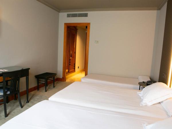 Hotel Sercotel Ciudad de Oviedo : photo 3 de la chambre chambre double ou lits jumeaux avec lit d'appoint