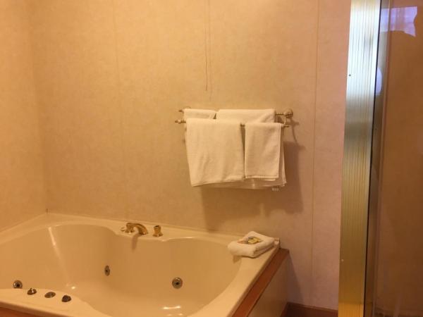 Leviathan Hotel : photo 7 de la chambre suite