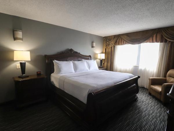 Wyndham Houston near NRG Park - Medical Center : photo 4 de la chambre suite 1 chambre lit king-size - non-fumeurs